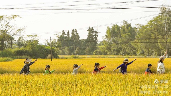 微信图片_20201105212728.jpg